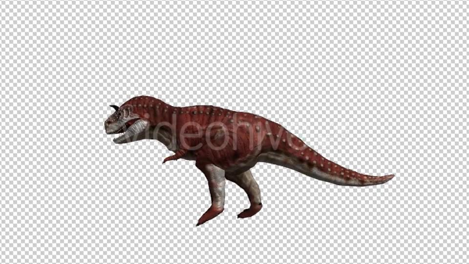 Dinosaur Carnotaurus Walking Videohive 20039694 Motion Graphics Image 2