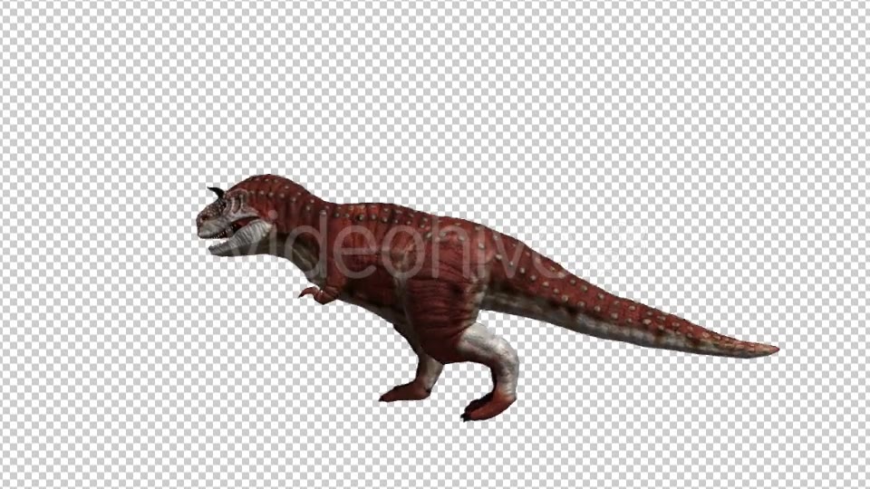 Dinosaur Carnotaurus Walking Videohive 20039694 Motion Graphics Image 3