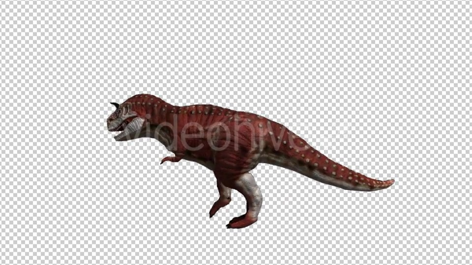 Dinosaur Carnotaurus Walking Videohive 20039694 Motion Graphics Image 4