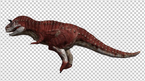 Dinosaur Carnotaurus Walking - Download Videohive 20039694