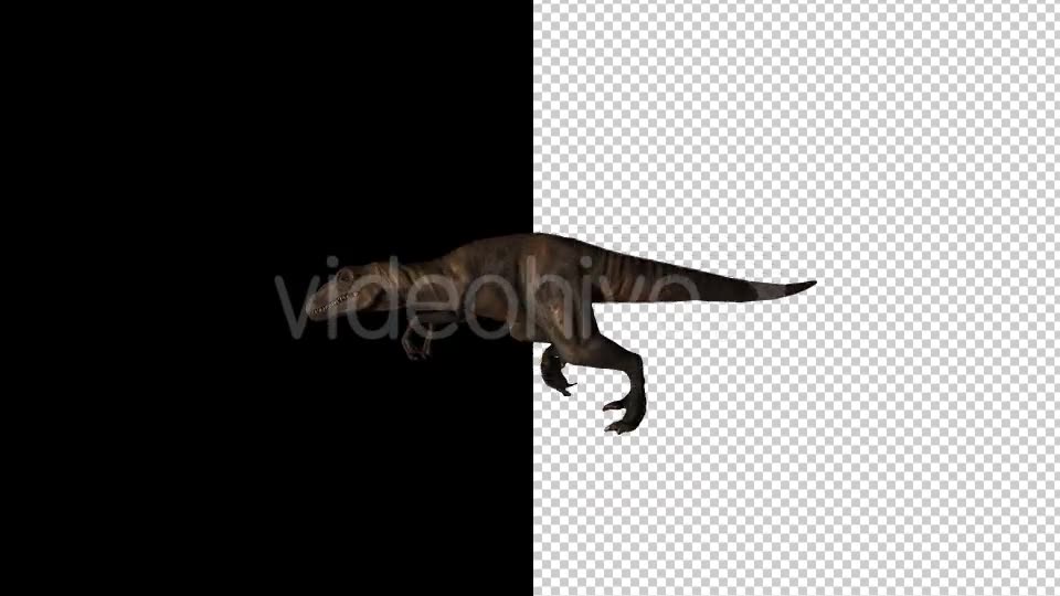 Dinosaur Running Videohive 20177477 Motion Graphics Image 2