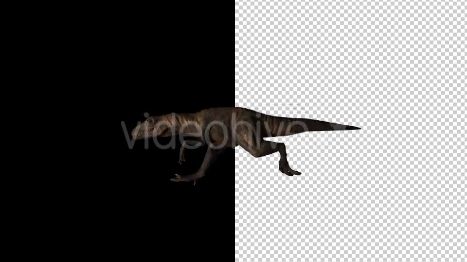 Dinosaur Running Videohive 20177477 Motion Graphics Image 3