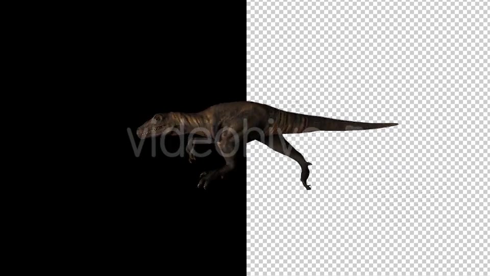 Dinosaur Running Videohive 20177477 Motion Graphics Image 4