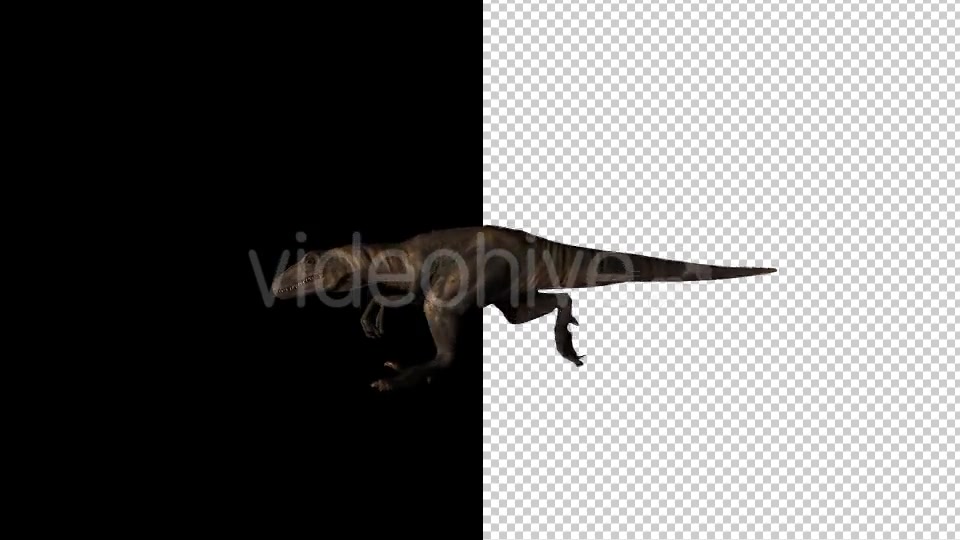 Dinosaur Running Videohive 20177477 Motion Graphics Image 5