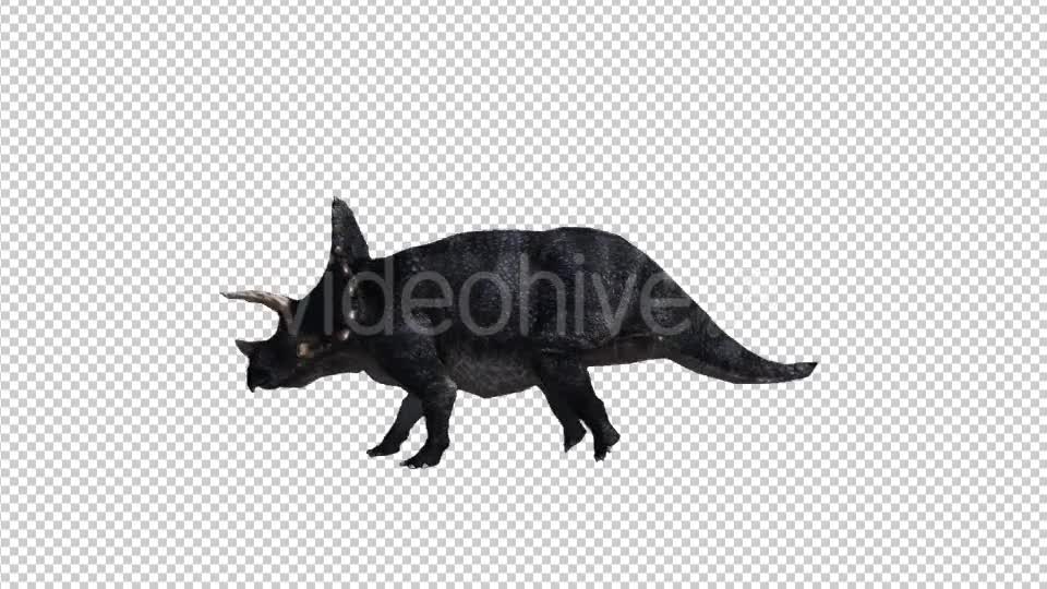 Dinosaur Triceratops Walk and Run Videohive 20039709 Motion Graphics Image 1