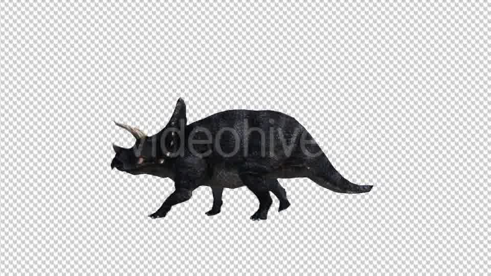 Dinosaur Triceratops Walk and Run Videohive 20039709 Motion Graphics Image 10