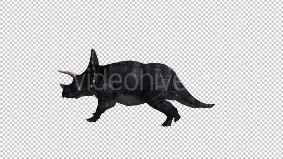 Dinosaur Triceratops Walk and Run Videohive 20039709 Motion Graphics Image 2