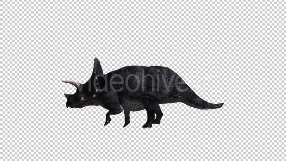 Dinosaur Triceratops Walk and Run Videohive 20039709 Motion Graphics Image 3