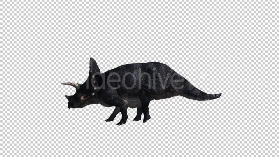 Dinosaur Triceratops Walk and Run Videohive 20039709 Motion Graphics Image 4