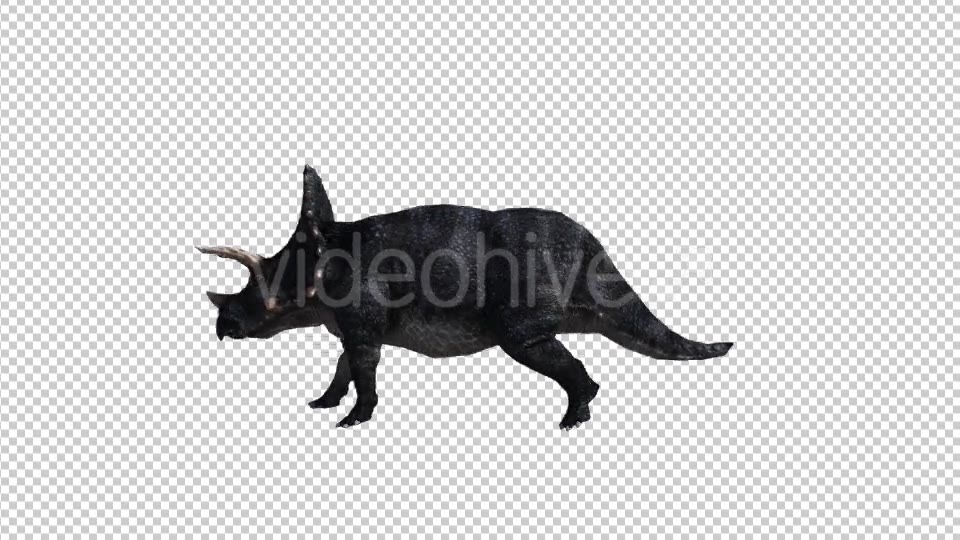 Dinosaur Triceratops Walk and Run Videohive 20039709 Motion Graphics Image 5