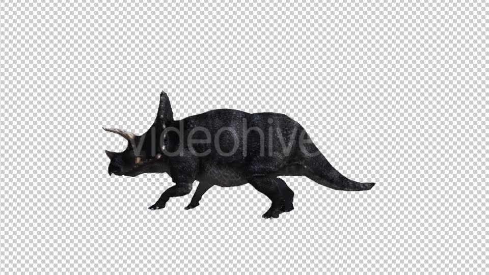 Dinosaur Triceratops Walk and Run Videohive 20039709 Motion Graphics Image 6