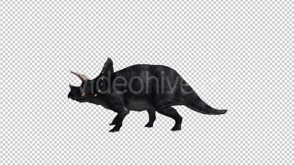 Dinosaur Triceratops Walk and Run Videohive 20039709 Motion Graphics Image 7