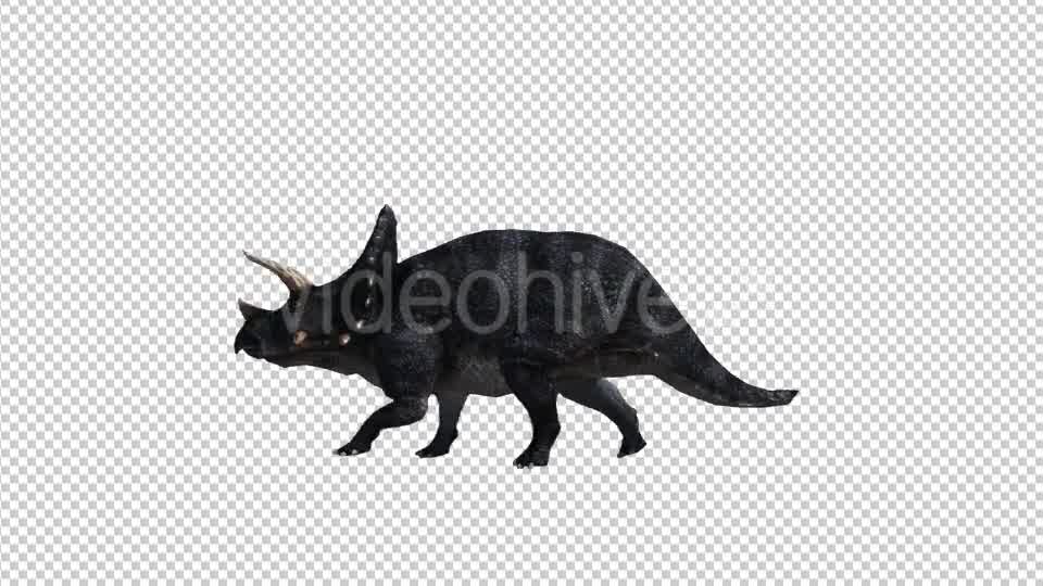 Dinosaur Triceratops Walk and Run Videohive 20039709 Motion Graphics Image 8