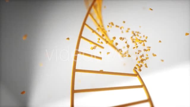 Dna Disorder Strand Structure Videohive 21365019 Motion Graphics Image 1