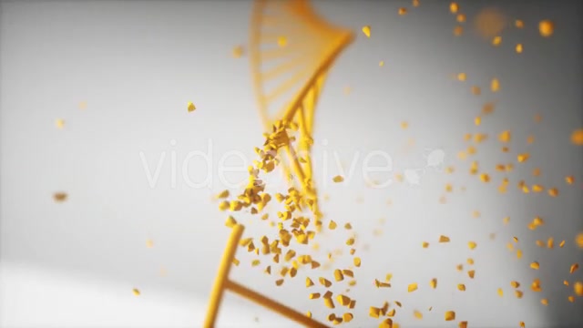 Dna Disorder Strand Structure Videohive 21365019 Motion Graphics Image 10