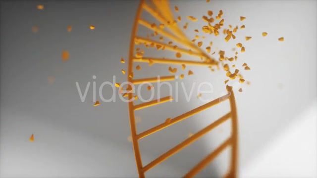 Dna Disorder Strand Structure Videohive 21365019 Motion Graphics Image 2