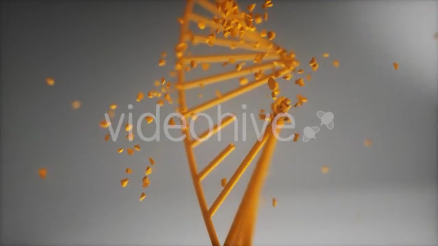 Dna Disorder Strand Structure Videohive 21365019 Motion Graphics Image 3