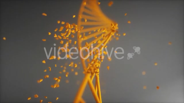 Dna Disorder Strand Structure Videohive 21365019 Motion Graphics Image 4