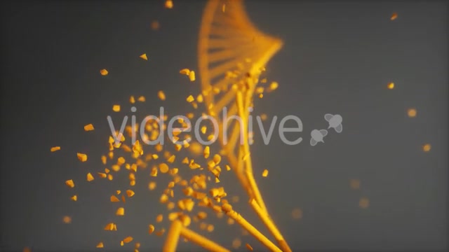 Dna Disorder Strand Structure Videohive 21365019 Motion Graphics Image 5