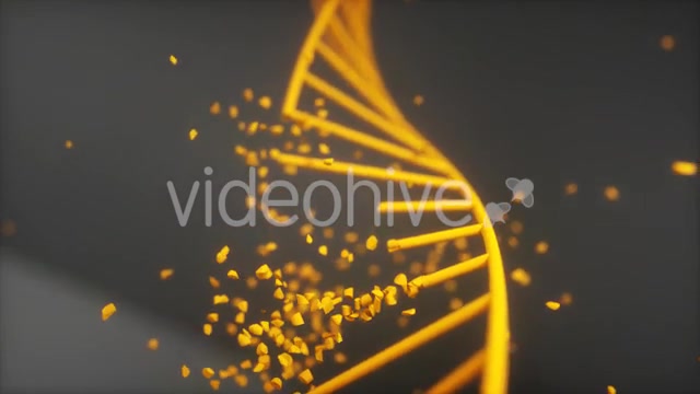 Dna Disorder Strand Structure Videohive 21365019 Motion Graphics Image 7