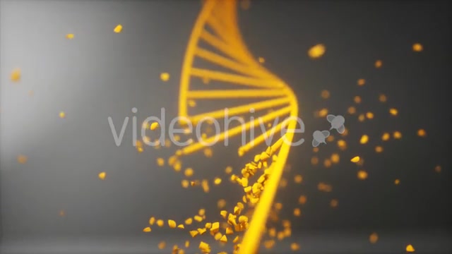 Dna Disorder Strand Structure Videohive 21365019 Motion Graphics Image 8