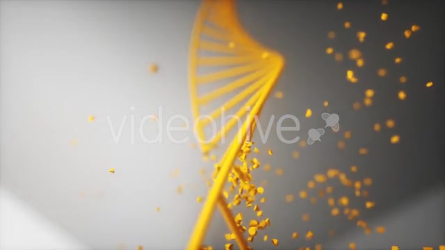 Dna Disorder Strand Structure Videohive 21365019 Motion Graphics Image 9