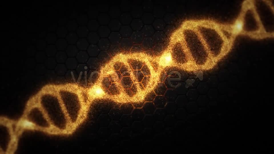 DNA Videohive 19199802 Motion Graphics Image 1