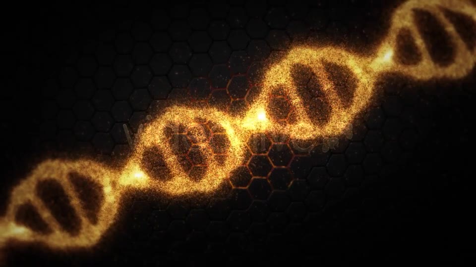 DNA Videohive 19199802 Motion Graphics Image 2