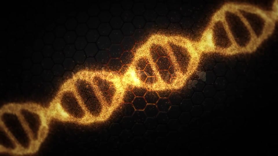 DNA Videohive 19199802 Motion Graphics Image 3