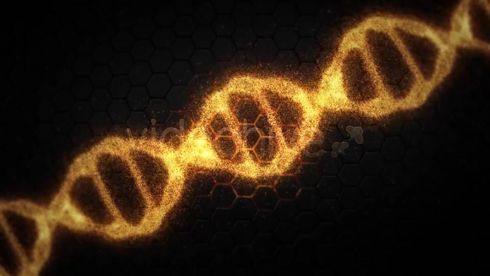 DNA Videohive 19199802 Motion Graphics Image 4
