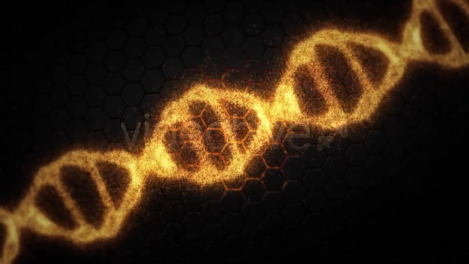 DNA Videohive 19199802 Motion Graphics Image 5