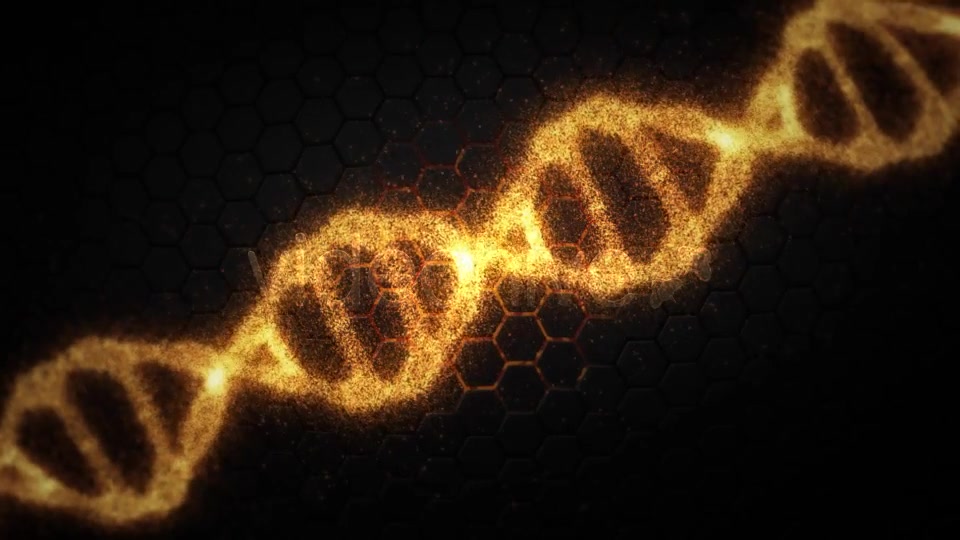 DNA Videohive 19199802 Motion Graphics Image 6