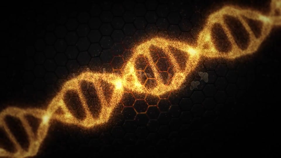 DNA Videohive 19199802 Motion Graphics Image 7