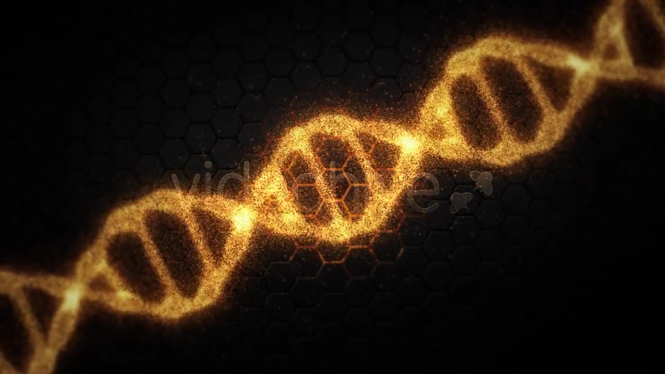 DNA Videohive 19199802 Motion Graphics Image 8