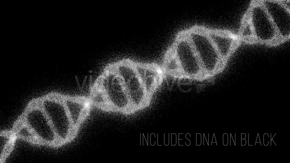 DNA Videohive 19199802 Motion Graphics Image 9