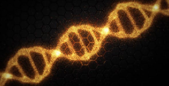 DNA - Download 19199802 Videohive