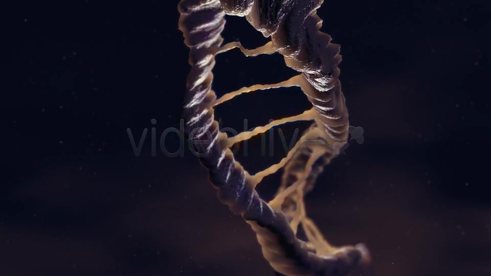 Dna Loop Videohive 19235051 Motion Graphics Image 4