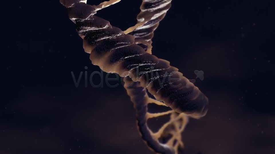 Dna Loop Videohive 19235051 Motion Graphics Image 5