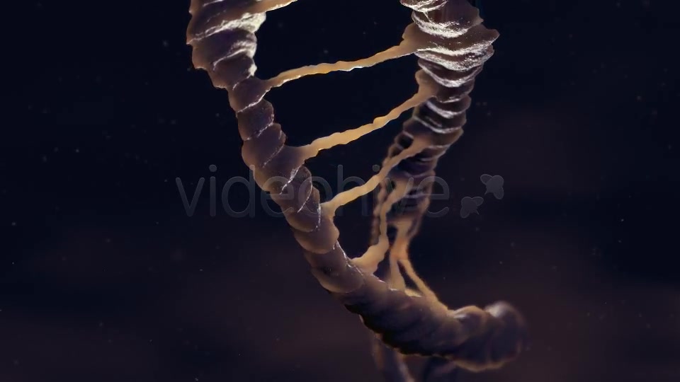 Dna Loop Videohive 19235051 Motion Graphics Image 6