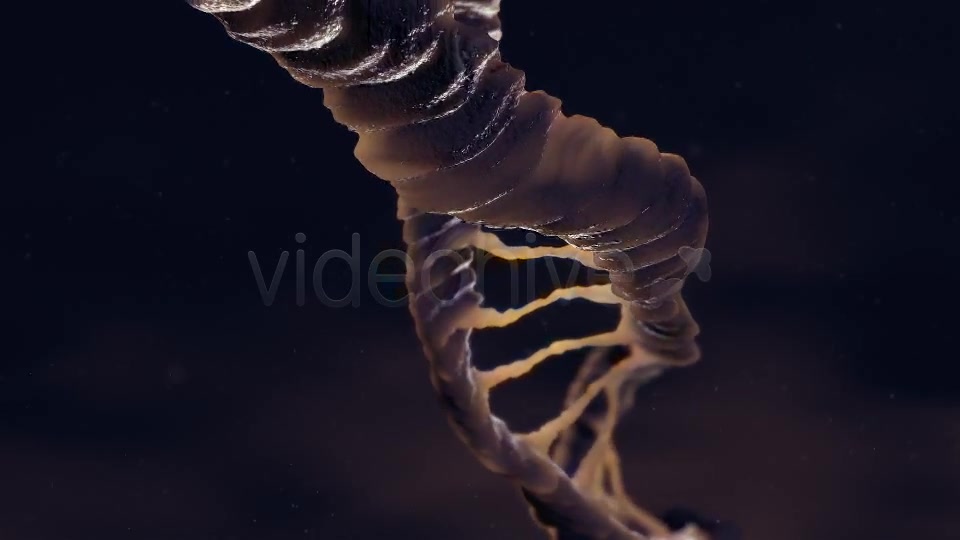 Dna Loop Videohive 19235051 Motion Graphics Image 7