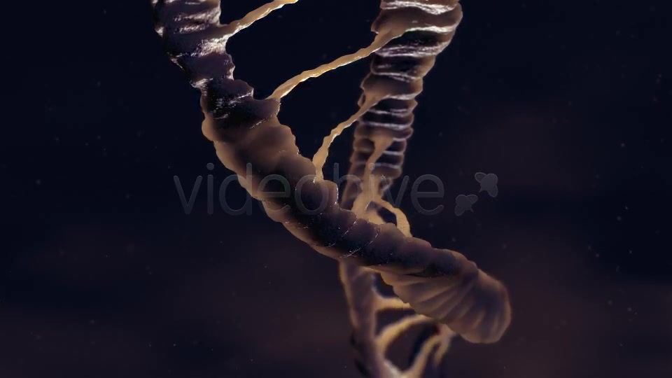Dna Loop Videohive 19235051 Motion Graphics Image 8