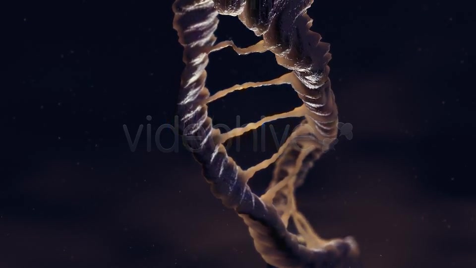 Dna Loop Videohive 19235051 Motion Graphics Image 9