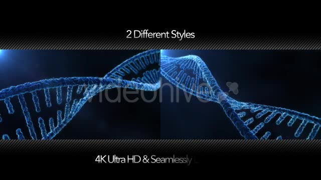 DNA Molecule Structure 4K Videohive 19863224 Motion Graphics Image 1