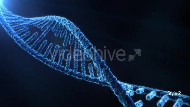 DNA Molecule Structure 4K Videohive 19863224 Motion Graphics Image 10