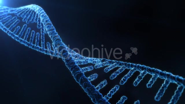 DNA Molecule Structure 4K Videohive 19863224 Motion Graphics Image 12