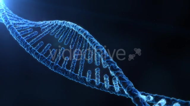 DNA Molecule Structure 4K Videohive 19863224 Motion Graphics Image 13