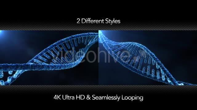 DNA Molecule Structure 4K Videohive 19863224 Motion Graphics Image 2