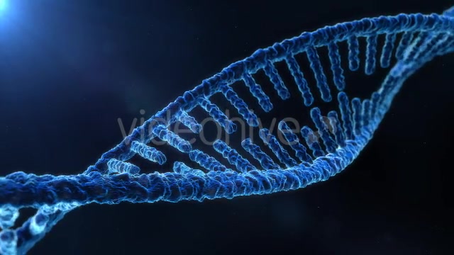DNA Molecule Structure 4K Videohive 19863224 Motion Graphics Image 8