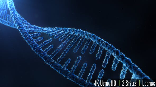 DNA Molecule Structure 4K - Download Videohive 19863224