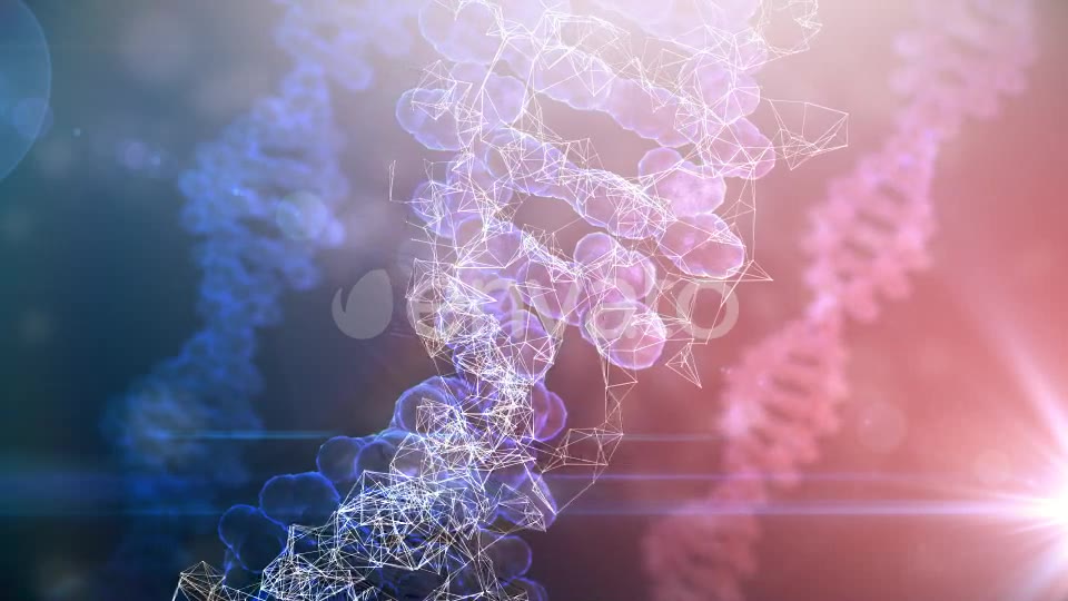 DNA Rotation Background Videohive 21955731 Motion Graphics Image 2